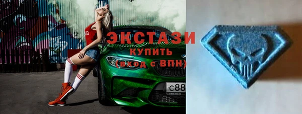 индика Краснослободск