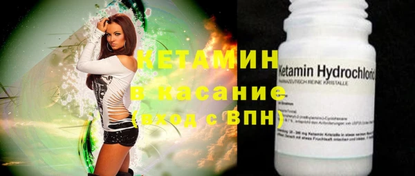 индика Краснослободск