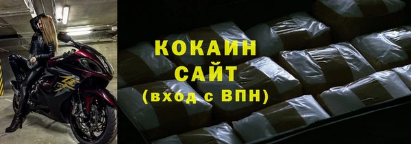 прущие грибы Краснотурьинск