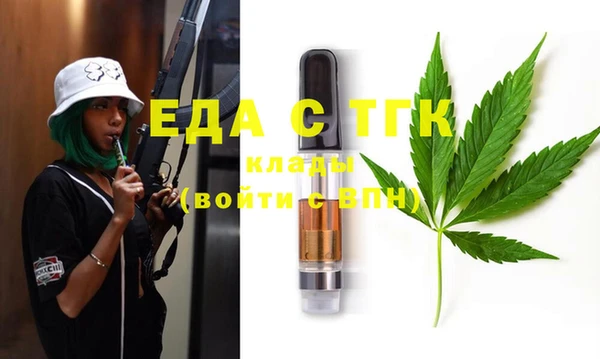 индика Краснослободск