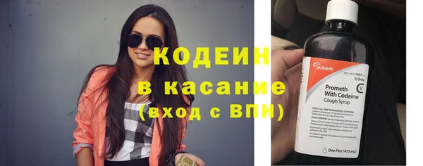 прущие грибы Краснотурьинск
