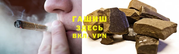 индика Краснослободск