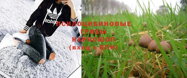 индика Краснослободск