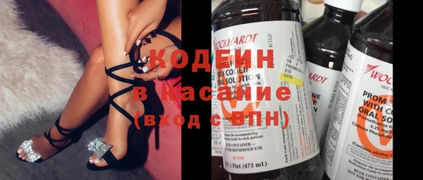 индика Краснослободск