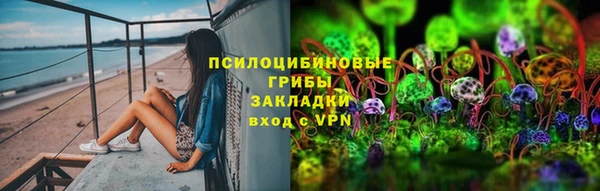 индика Краснослободск