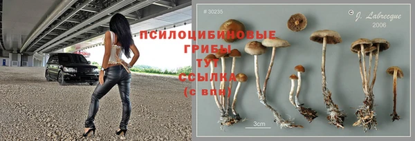 спиды Куйбышев
