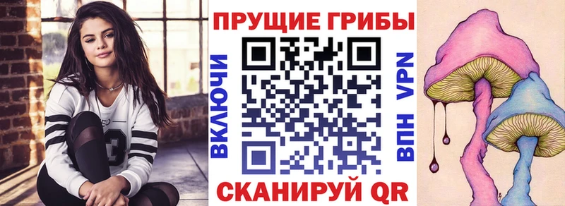 маркетплейс клад  Кулебаки  Псилоцибиновые грибы Psilocybine cubensis  наркошоп 
